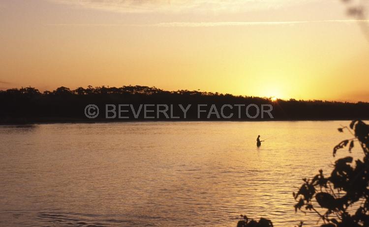 Sunset Island;ocean;yellow;colorful;red;water;sunset;sillouettes;sky;trees;E. Coast Australia;trees